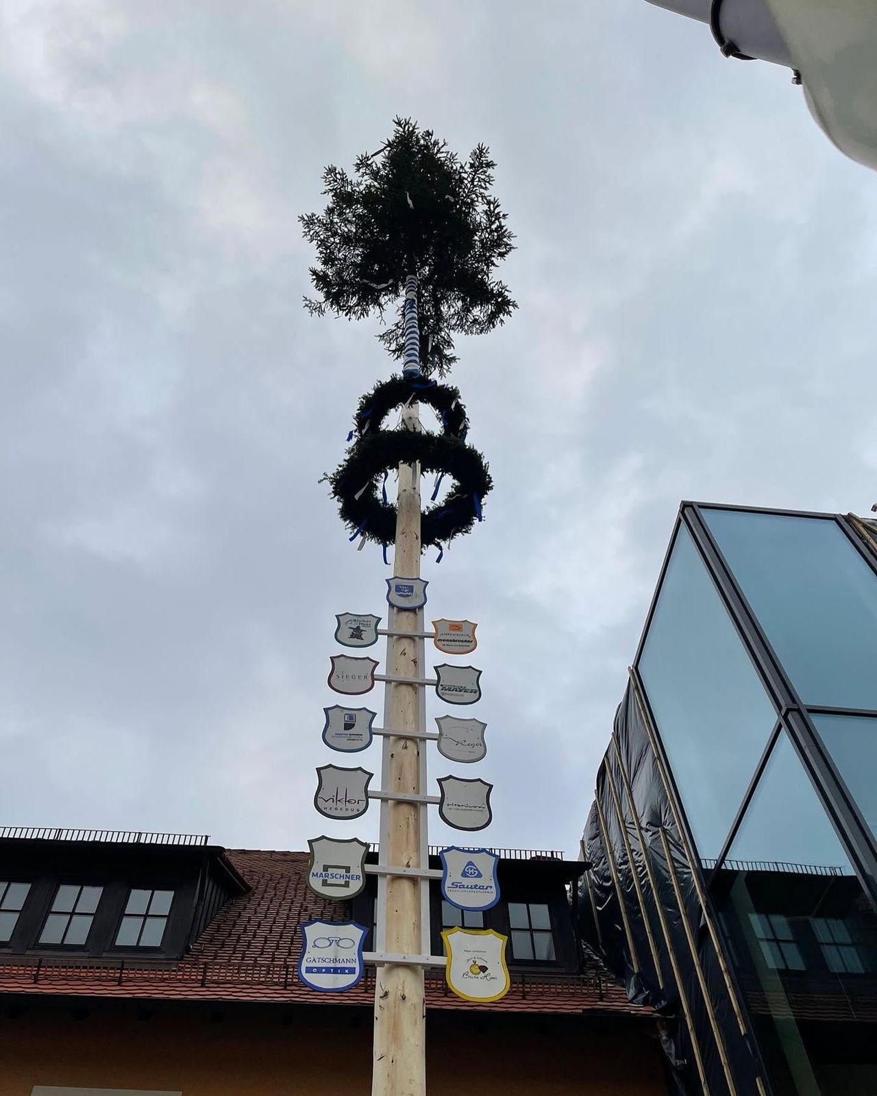 Verwurzelt in Wehingen – Maibaum-Tradition